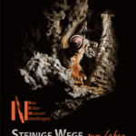 Steinige Wege zum Leben