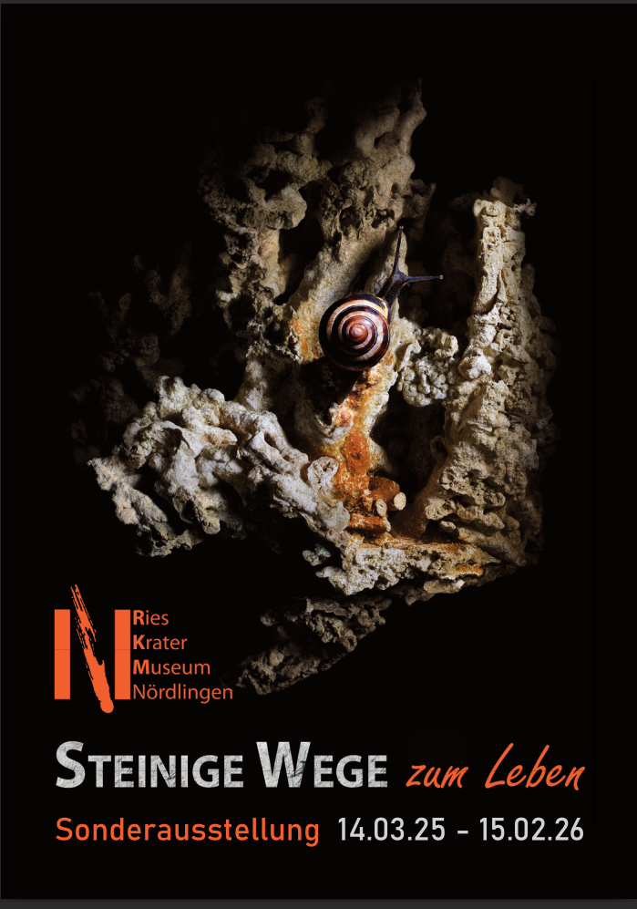 Steinige Wege zum Leben
